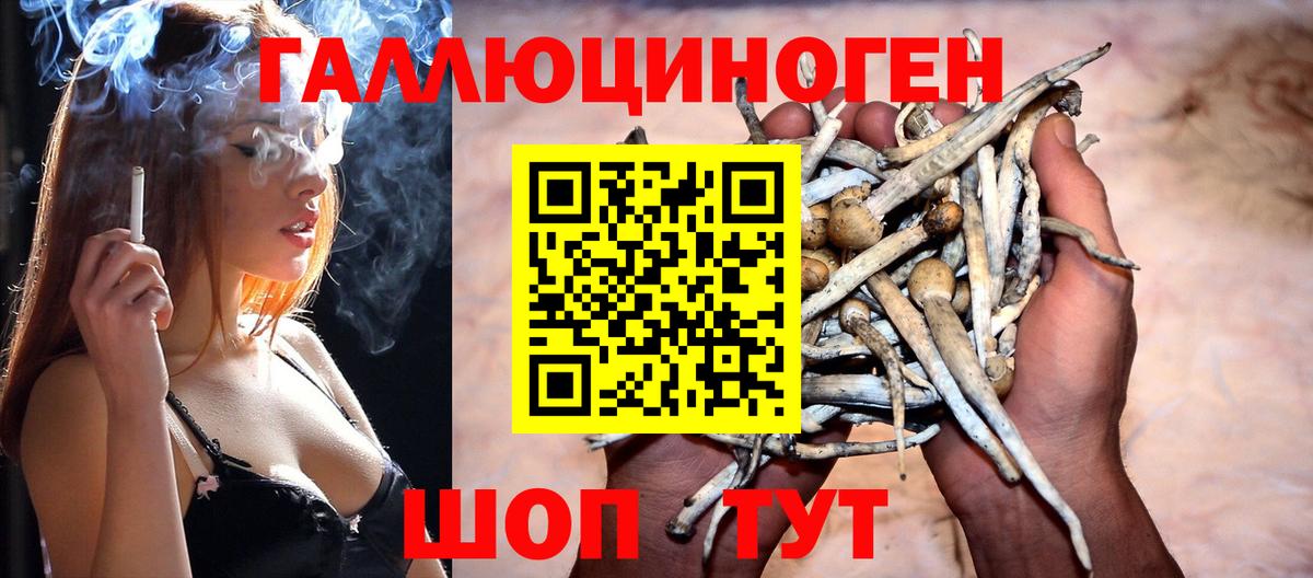 Якутск  Псилоцибиновые грибы MAGIC MUSHROOMS  Вход с VPN 